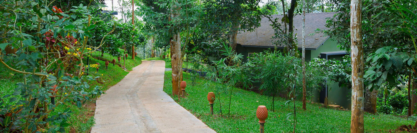 Adithya Nature Resort and Spa | Vythiri | Wayanad